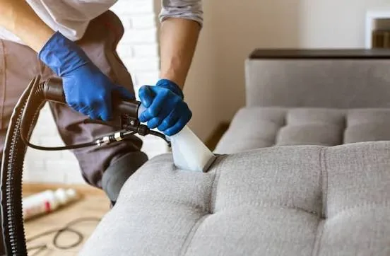 Technician steam cleaning a fabric sofa during upholstery cleaning