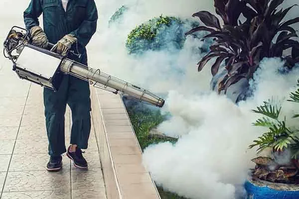 Herpavilion fumigation service in Asaba